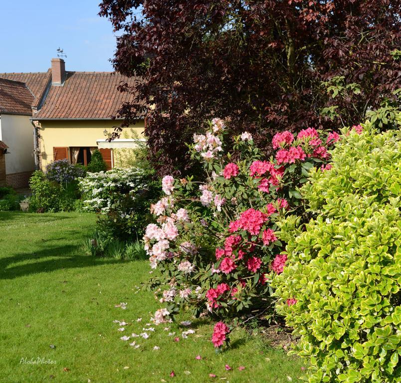 Gite Des Hortillonnages Camon  ภายนอก รูปภาพ