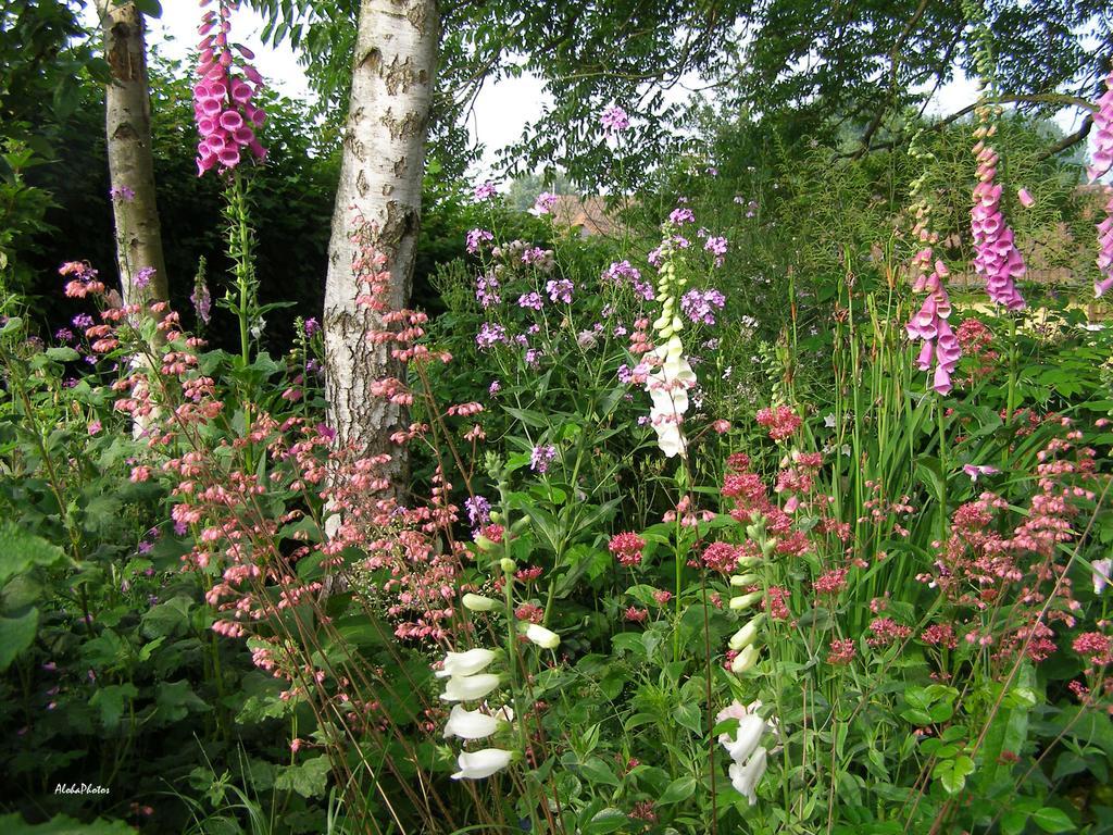 Gite Des Hortillonnages Camon  ภายนอก รูปภาพ