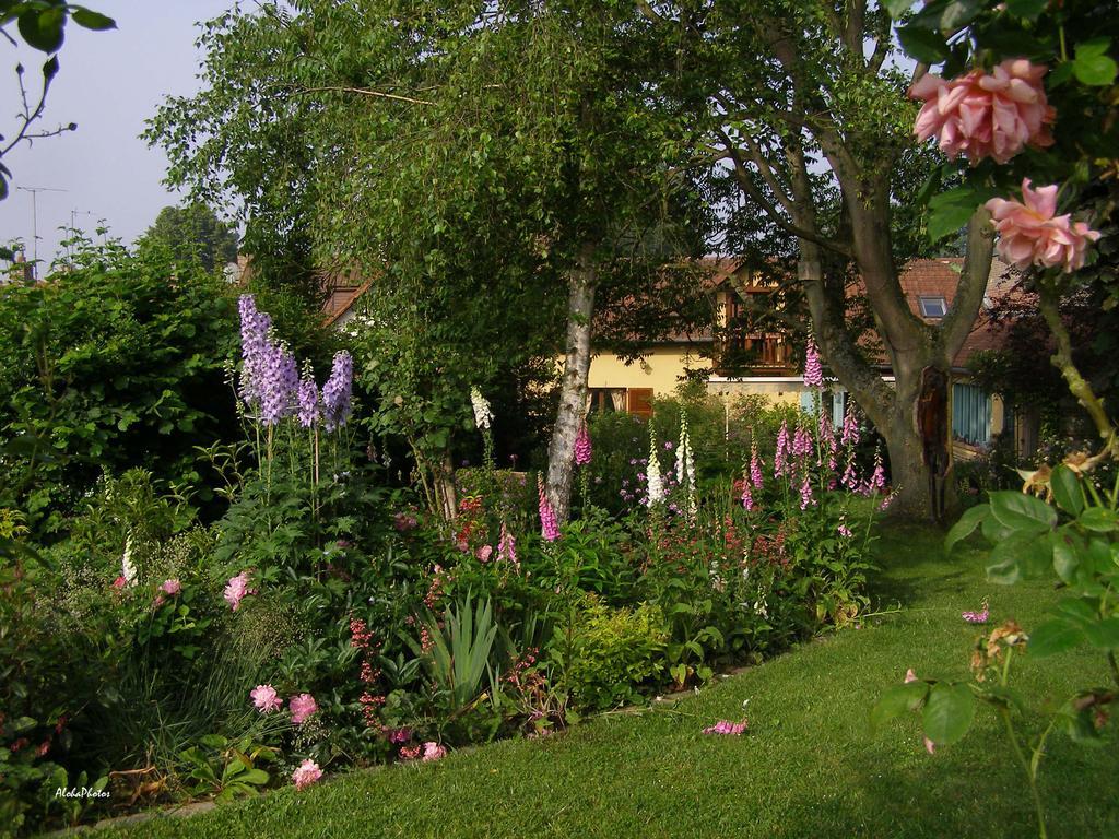 Gite Des Hortillonnages Camon  ภายนอก รูปภาพ